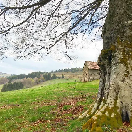 Tente de luxe Eco Yourte Les Airelles D'isabelle Saint-Anthème
