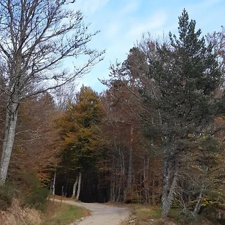Eco Yourte Les Airelles D'isabelle * Saint-Anthème